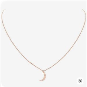 Humble Chic Crescent Moon Necklace (G)